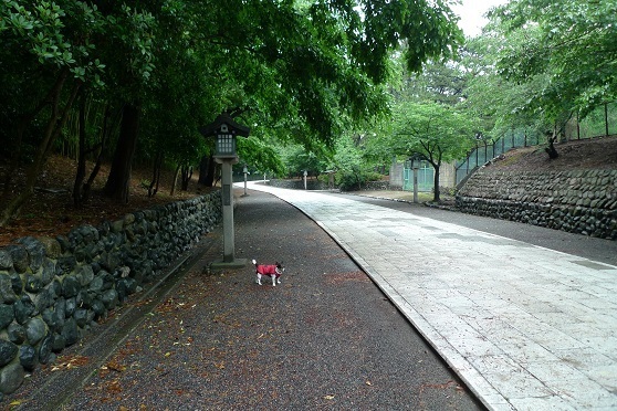 110625 012.JPG