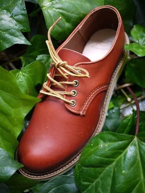 RED WING #8001、#8002 RED WING #8001、#8002