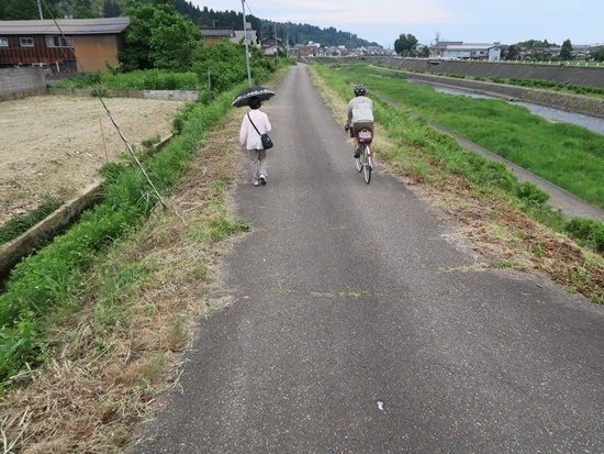 kokoro (32).JPG
