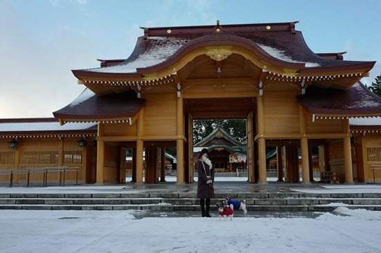 north sL1110535.JPG