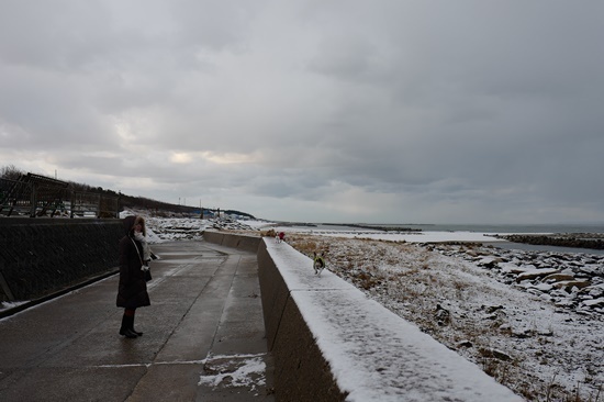 north sL1110604.JPG