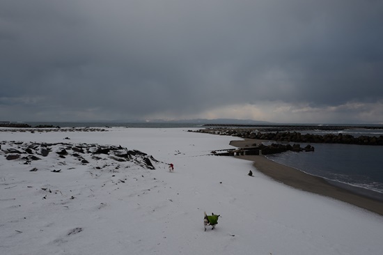 north sL1110607.JPG