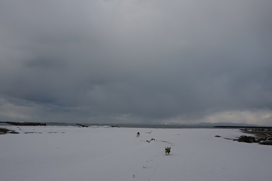 north sL1110611.JPG
