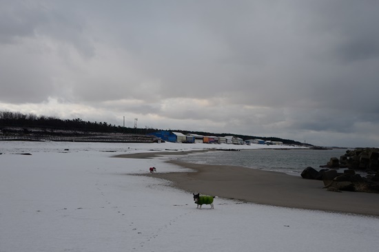 north sL1110617.JPG