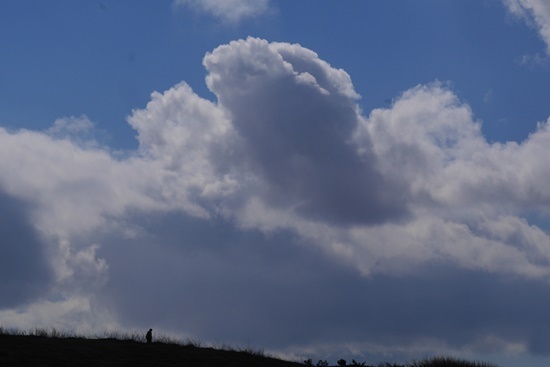 souti sP1290232.JPG