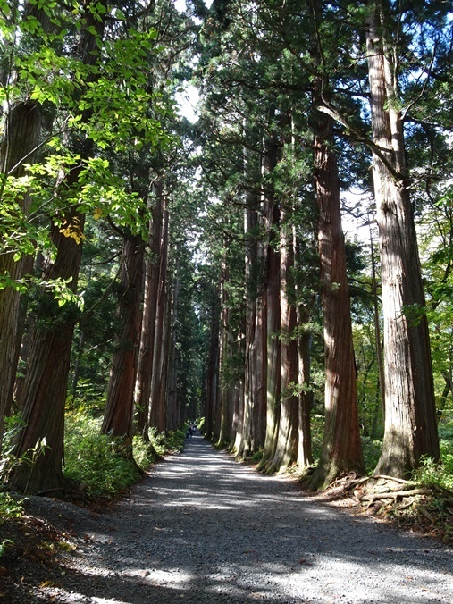 togakushi sDSC09165.JPG